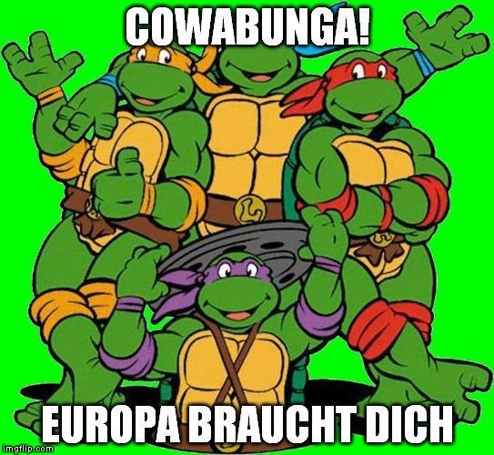 Read more about the article Cowabunga! Mal ehrlich – Wer oder was ist Europe Direct?